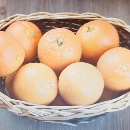 Apartamento Hola House Capo Market *